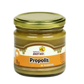 sadecki-bartnik-miod-z-propolisem-dzialanie-przeciwzapalne-250-g