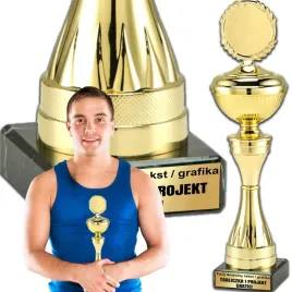 puchar-trofeum-nagroda-statuetka-solidna-3d-315-cm-kolor-zloty-grawer
