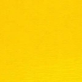 bibula-kolorowa-penword-ciemnozolta-50-cm-x-2-m