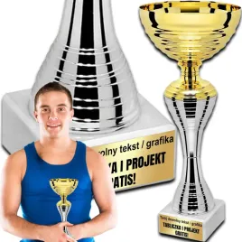 puchar-trofeum-nagroda-statuetka-solidna-3d-295-cm-kolor-zloty-grawer