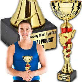 puchar-trofeum-nagroda-statuetka-solidna-3d-265cm-kolor-zloty-grawer