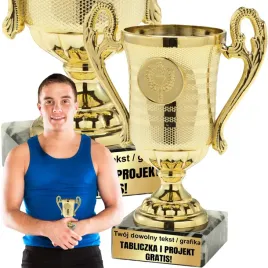 puchar-trofeum-nagroda-statuetka-solidna-3d-145cm-kolor-zloty-grawer