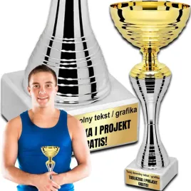 puchar-trofeum-nagroda-statuetka-solidna-3d-26-cm-kolor-zloty-grawer