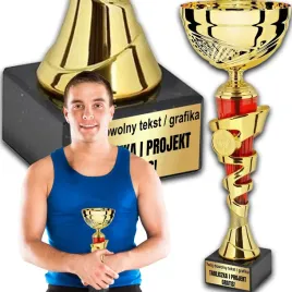puchar-trofeum-nagroda-statuetka-solidna-3d-245cm-kolor-zloty-grawer
