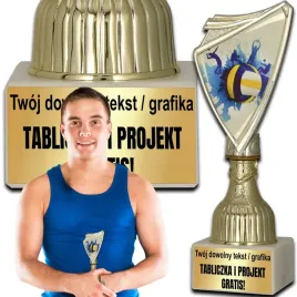 puchar-zloty-trofeum-nagroda-statuetka-siatkowka-pilka-19-cm-3d-grawer