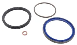 zestaw-uszczelnien-massey-ferguson-1810898m91-01-1810898m91