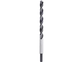 wiertlo-do-drewna-20-x-250-mm