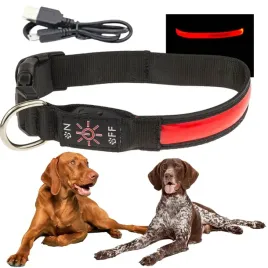 obroza-spacerowa-dla-psa-led-swiecaca-w-ciemnosci-ladowana-usb-l-38-50cm