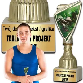 puchar-zloty-trofeum-nagroda-statuetka-najlepszy-obronca-175cm-grawer