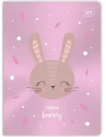 interdruk-n-zeszyt-a5-metallic-70g-trzy-linie-16k