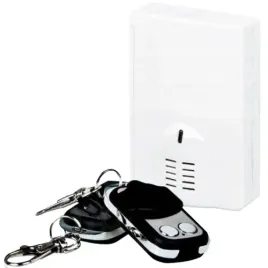 ti-982-zestaw-radiolinii-dwukanalowej-sterownik-radiowy-dwa-piloty-yotogi