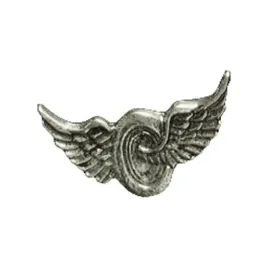 przypinka-pin-dla-motocyklisty-wheel-wing-kolo-ze-skrzydlami-harley
