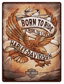 harley-davidson-born-to-ride-motocyklowy-metalowy-szyld-30x40cm