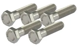 sruba-calowa-5-16-18-x-1-inox-harley-davidson-kpl-5szt