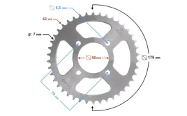 zebatka-tylna-moretti-42-428