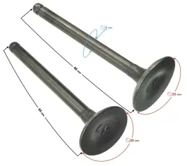 zawory-110cc-do-silnika-bts