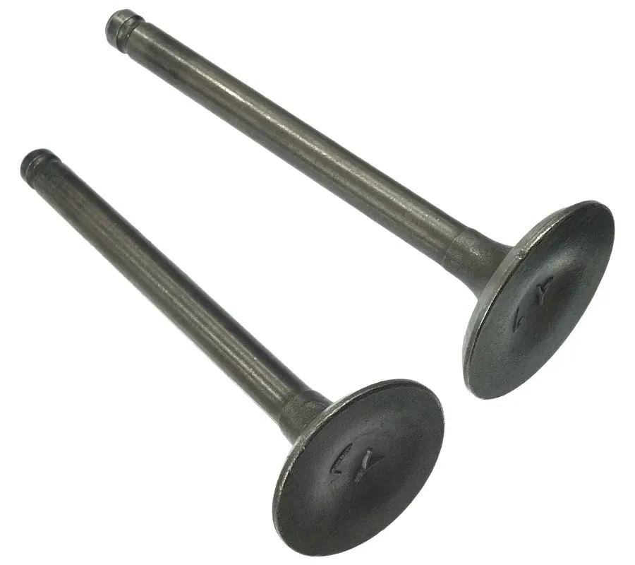 zawory-110cc-do-silnika-bts-stan-nowy