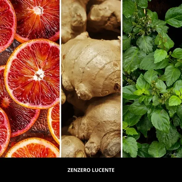 millefiori-milano-diffuser-paleczki-zapachowe-zenzero-lucente-250ml-stan-nowy
