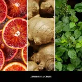 millefiori-milano-diffuser-paleczki-zapachowe-zenzero-lucente-250ml-stan-nowy