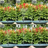 pompa-15-w-do-500-l-h-stan-nowy-kod-producenta-inny