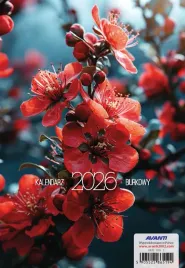 kalendarz-tygodniowy-terminarz-biurkowy-pionowy-kba5-2026-na-spirali-avanti