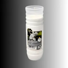 wklady-do-zniczy-parafinowe-znicze-ligero-4-dni-uniwersalny-rozmiar-20-szt