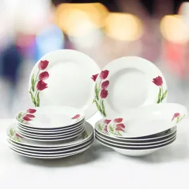 serwis-obiadowy-porcelanowy-zestaw-talerzy-bialy-na-6-osob-wzor-tulipany
