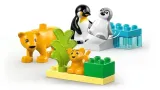 lego-duplo-town-10442-plec-chlopcy-dziewczynki