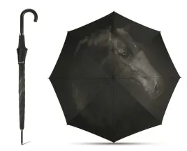 parasol-happy-rain-automat-long-kon