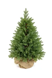 choinka-sztuczna-premium-swierk-w-donicy-100percent-pe-160cm