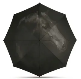 parasol-happy-rain-automat-mini-kon