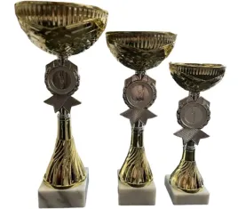 komplet-pucharow-emblemat-sportowe-trofea-zawody-turniej-275-25-21cm-opis