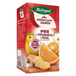 imbir-pomarancza-pigwa-herbaciany-ogrod-herbata-herbapol-20-torebek