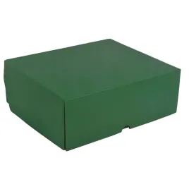 karton-fasonowy-dwustronnie-zielony-na-prezent-300x260mm