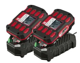 parkside-zestaw-akumulator-z-ladowarka-2x-ladowarka-2x-bateria-parkside