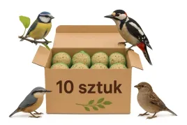kule-tluszczowe-dla-dzikich-ptakow-karma-dla-ptakow-do-karmnika-10-szt