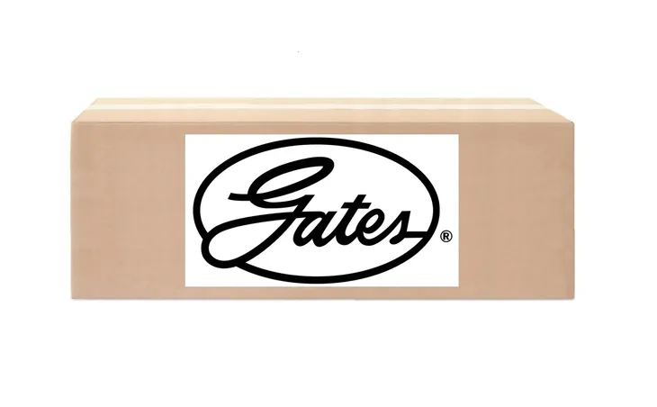 przewod-paliwowy-ford-b-max-15-jakosc-czesci-zgodnie-z-gvo-q-oryginal-z-logo-producenta-czesci-oem-oes