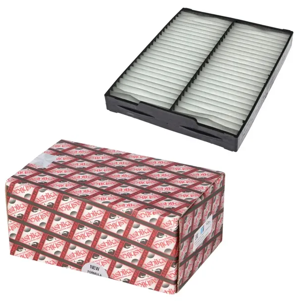 filtr-kabinowy-ashika-21-sz-z02-dlugosc-255-mm