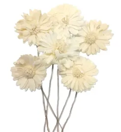 shola-sunflower-slonecznik-na-drucie-suszony-kwiat-na-druciku-sr-6cm-6szt