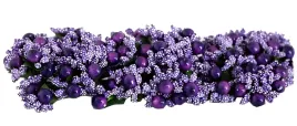 kolorowe-preciki-ryz-perla-2cm-72szt-7-kolorow-duza-paczka-hurt-m62h