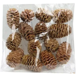 susz-afrykanski-szyszki-sabulosum-kremowe-20-30mm-100gram-ok-13-15szt