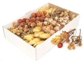 susz-egzotyczny-mix-wzorow-suszki-do-dekoracji-duza-paczka-zestaw-100-sztuk