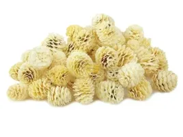 susz-afrykanski-szyszki-ozdobne-bielone-do-stroika-dekoracja-3-4cm-20-szt