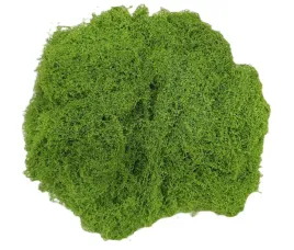 sztuczny-mech-jasnozielony-wypelniacz-stroiki-dekoracje-rekodzielo-100g