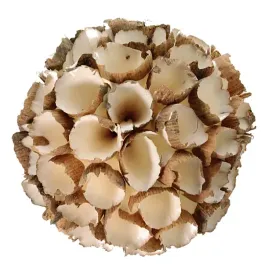 shola-crape-ball-kula-ozdobna-szola-susz-egzotyczny-sr-10cm-1szt-wzor-nr-1