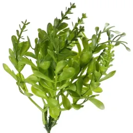 galazka-bukszpanu-borowka-bukszpan-z-odrostami-na-drucie-wielkanoc-19cm-1sz
