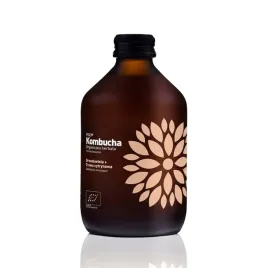 kombucha-z-brzoskwinia-i-trawa-cytrynowa-bezglutenowa-bio-330-ml-vigo