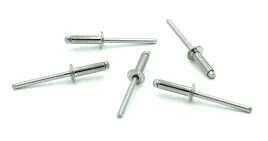 nit-a2-a2-3x12mm-nierdzewny-zrywalny-nity-inox-100