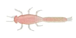 przyneta-illex-magic-may-fly-2-6-coral-pink-66mm-1szt