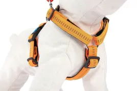 szelki-regulowane-dla-psa-soft-style-s-pomaranczowe